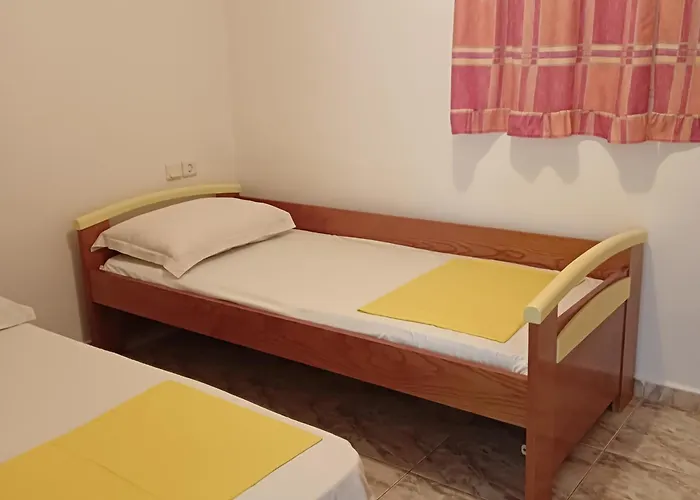 Seashell * 埃尔米奥尼